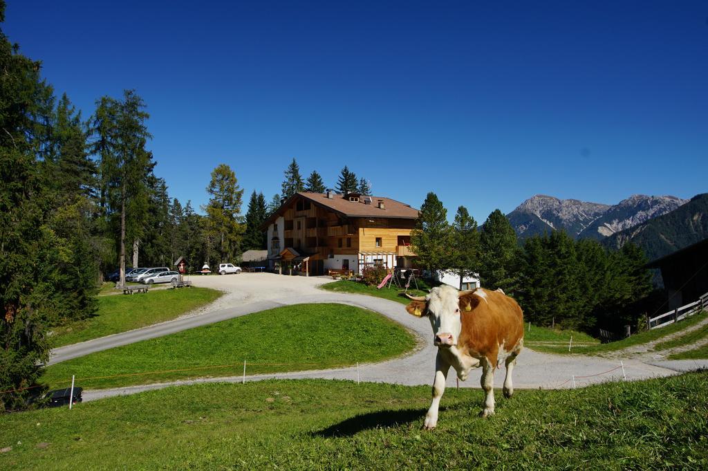 Chalet Frapes San Martino in Badia Ngoại thất bức ảnh